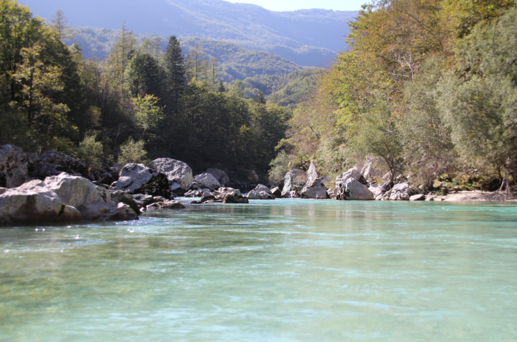Heldere rivier tussen bosrijke bergen